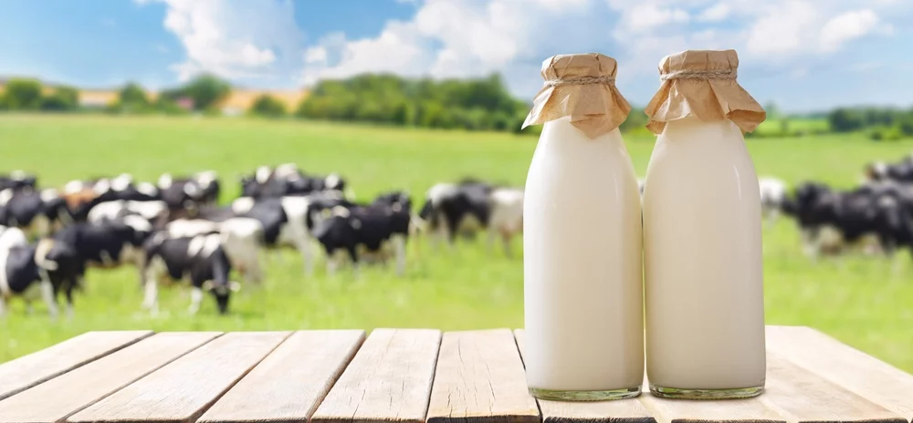 Lait de vache