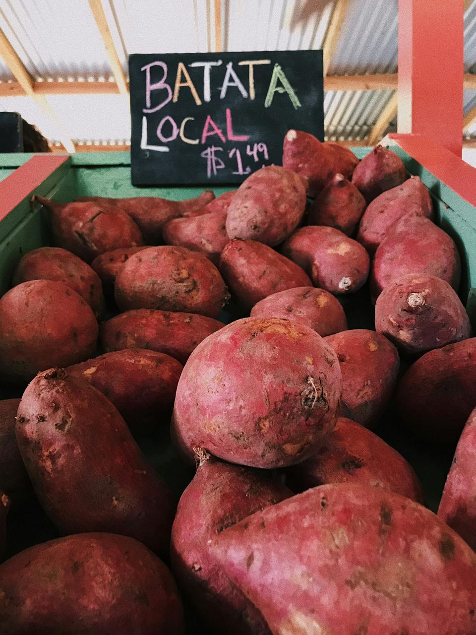 Patate Douce