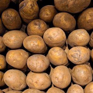 Pomme de Terre