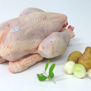 Poulet de chaire