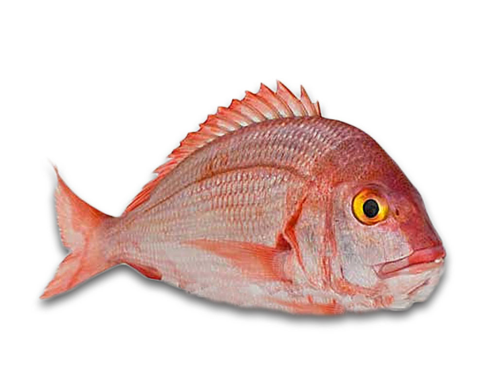 Poisson